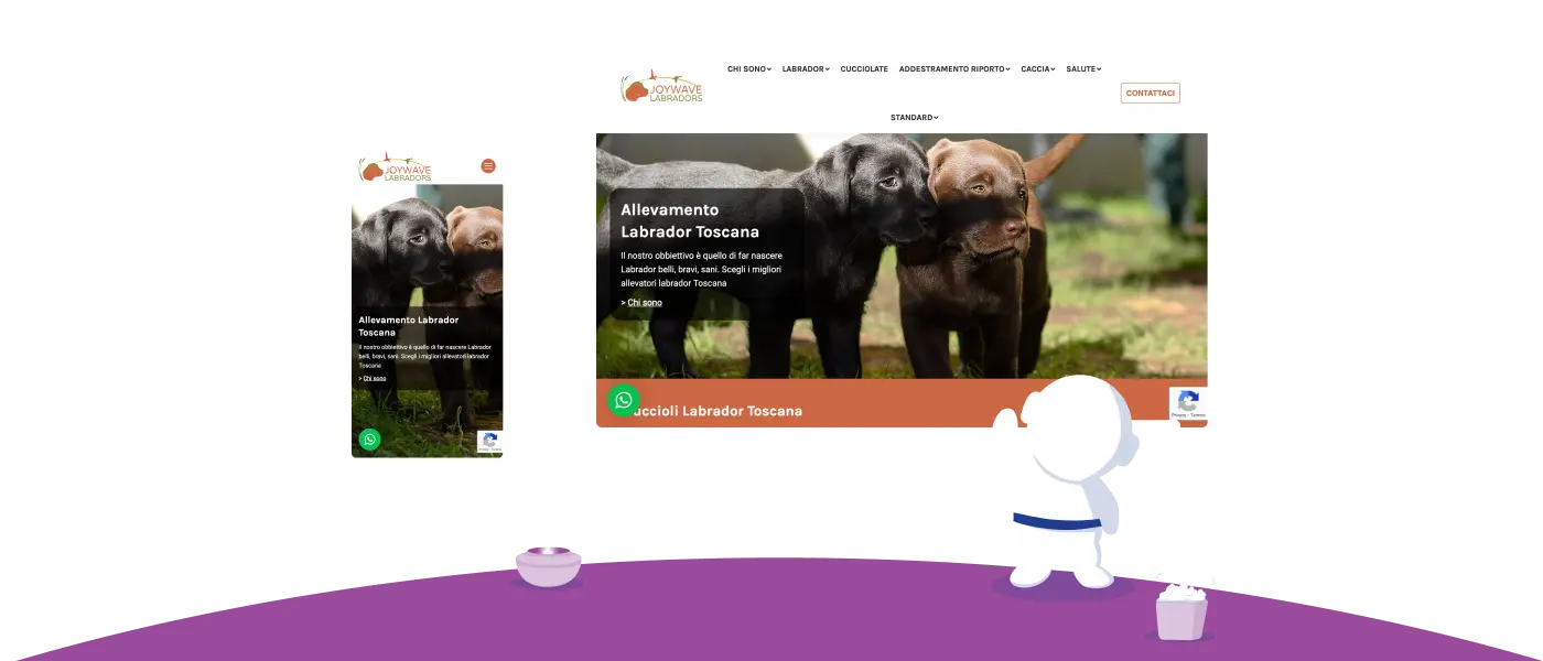 Banner Joywave Labrador